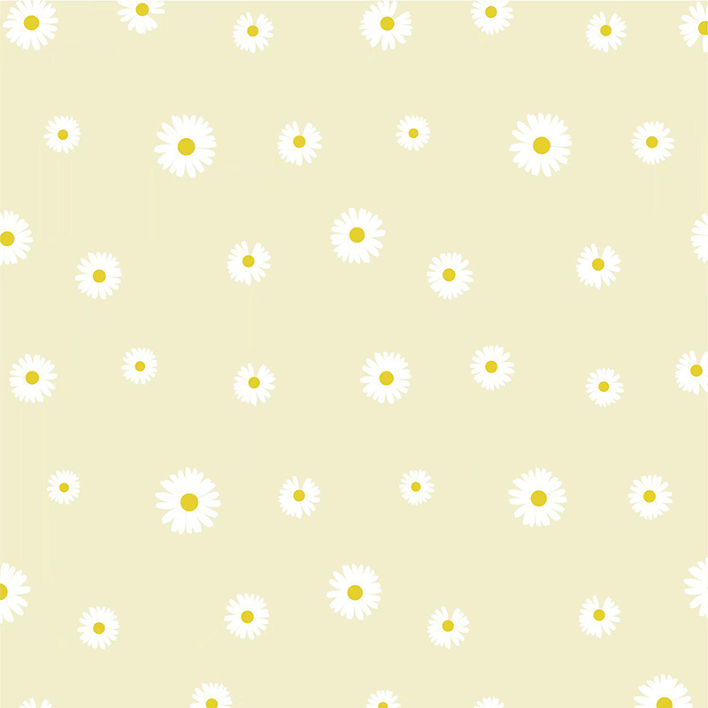 MYHC-18 Fresh Little Daisy Pearl Film Flower Innpakningspapir