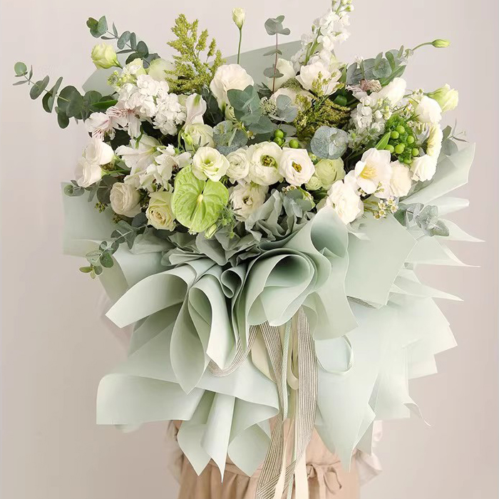 Matt ensfarget gjennomskinnelig blomsterinnpakningspapir